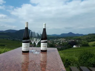 Weinberg mit Bank (© Verein SÜW Annweiler e.V.)