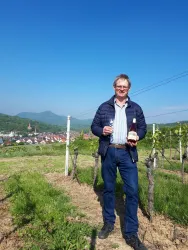 Weingut Volker Killmeyer (© Verein SÜW Annweiler am Trifels e.V.)