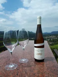 Wein Hahn-Hof (© Verein SÜW Annweiler e.V.)