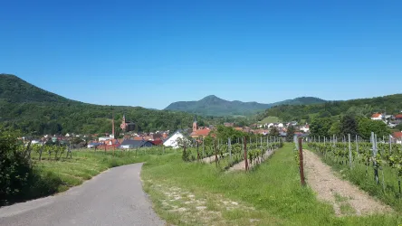 Ortsansicht (© Verein SÜW Annweiler e.V)