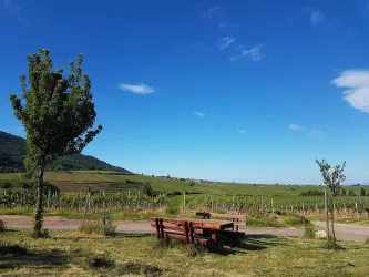 Picknickplatz Altenforst Aussicht