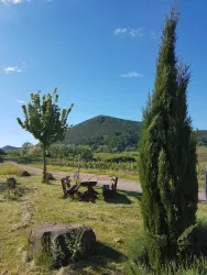 Picknickplatz Altenforst