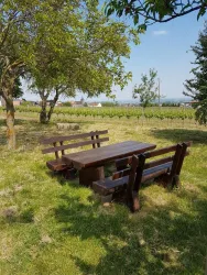 Picknickplatz Schäwer mit Bank