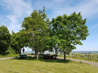 Picknickplatz Ortsgemeinde
