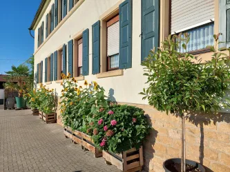 Außenansicht (© Weingut Wind-Rabold)