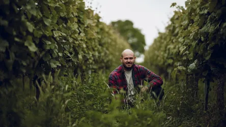 Philipp Müller im Weinberg