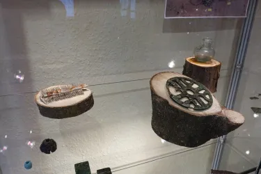 Ausstellungsstücke (© Ortsgemeinde Kleinfischlingen)