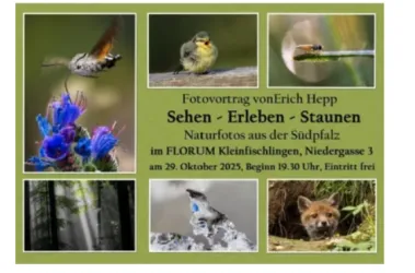 Sehen-Erleben-Staunen FLORUM