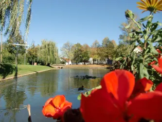 Woog in Mörstadt (© VG Monsheim)