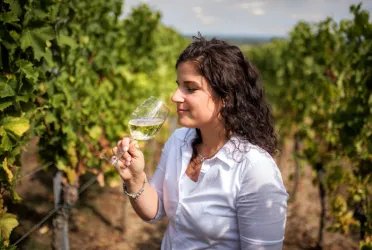 Weinprobe (© Muskatellerhof)