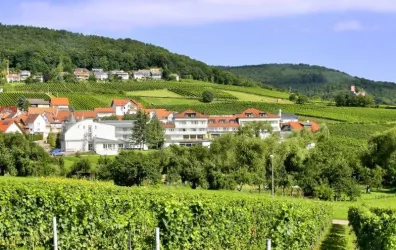 Aussenansicht (© Hotel Südpfalz Terrassen)