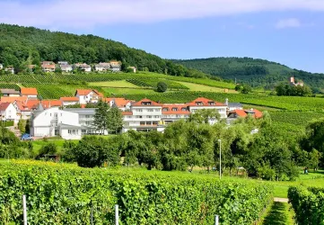 Außen1 (© Hotel Südpfalz Terrassen)