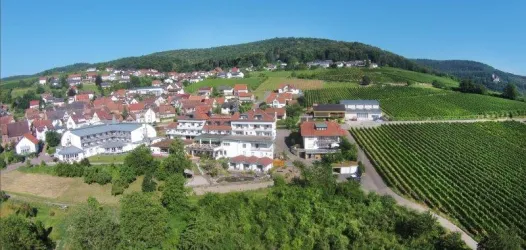 Südpfalz Terrassen von Oben (© Hotel Südpfalz Terrassen)