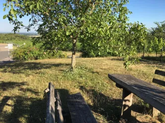 Picknickplatz Gleiszellen (© Archiv Tourismusverein SüW Bad Bergzabern)