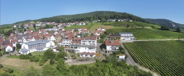 Südpfalz Terrassen 1 (© Südpfalz-Terrassen)
