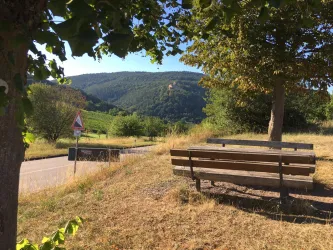 Picknickplatz Blick zur Burg Landeck (© Archiv Tourismusverein Süw Bad Bergzabern e.V.)