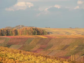 Herbst_1 (© Bernhard Stöffler)