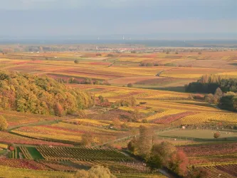 Herbst 2 (© Bernhard Stöffler)