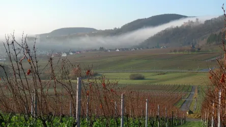 Landeck und Nebel (© B)