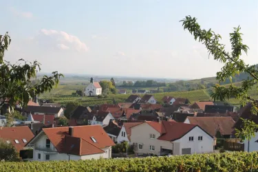Blick auf Gleiszellen (© allmann-stübinger vera)
