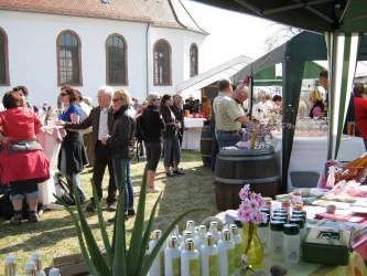 Mandelblütenfest Gleiszellen (© Archiv Tourismusverein SÜW Bad Bergzabern e.V.)