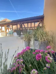Terrasse Blumen hoch