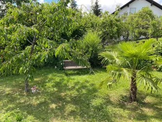 Garten2 (© Ferienwohnung Höft)