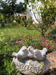 Garten3 (© Ferienwohnung Höft)