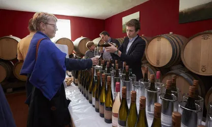 Ausschank (© Weingut Bernhart)