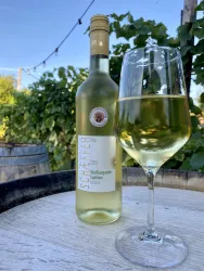 Weißburgunder Spätlese Weingut Harald Schäffer