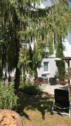 Das Gärtchen