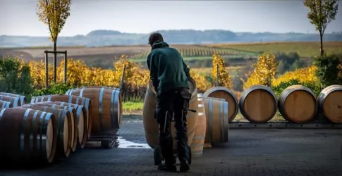 Weinfässer (© Weingut Nauerth-Gnägy)