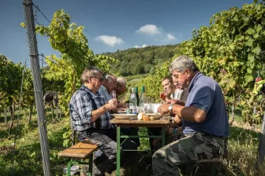 Weinlese (© Weingut Nauerth-Gnägy)