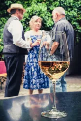 Hoffest 2015 (© Weingut Becker)