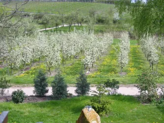 Blick vom Ost Balkon