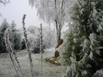 Winter (© Achim Cuntz)