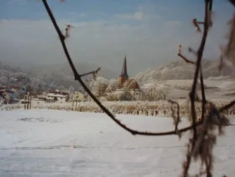 Winter, Bild 1 (© Achim Cuntz)