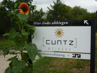 P1000008 (1) (© Achim Cuntz)