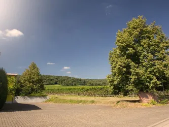 Stellplatz Weingut Cuntz Sonnenhof_2