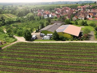 Stellplatz Weingut Cuntz Sonnenhof