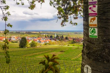 Blick auf Schweigen-Rechtenbach_mit Wandermarkieru