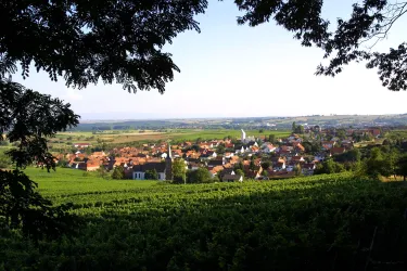 Blick auf Schweigen-RECHTENBACH (2)