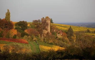 Blick auf Pauliner Schloss