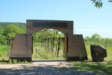 Kleines Weintor 2 (© Tourismusverein Bad Bergzabern e.V.)