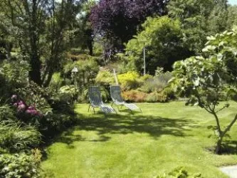 Garten