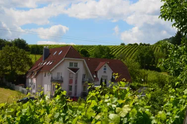 Sommer im Castell Leinsweiler 29281733-DSC-0976