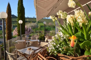 Castell Terrasse