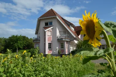 Sommer in Leinsweiler DSC_0533 (2)