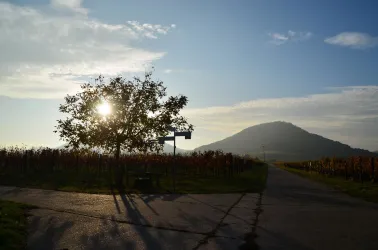 Wanderparadies Landau Land