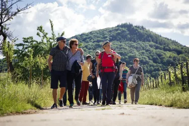 Wanderung amit Gudrun Stübinger-Kohls